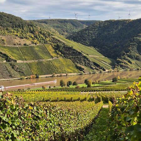 Weingut Mathy-Schanz Osann-Monzel Εξωτερικό φωτογραφία