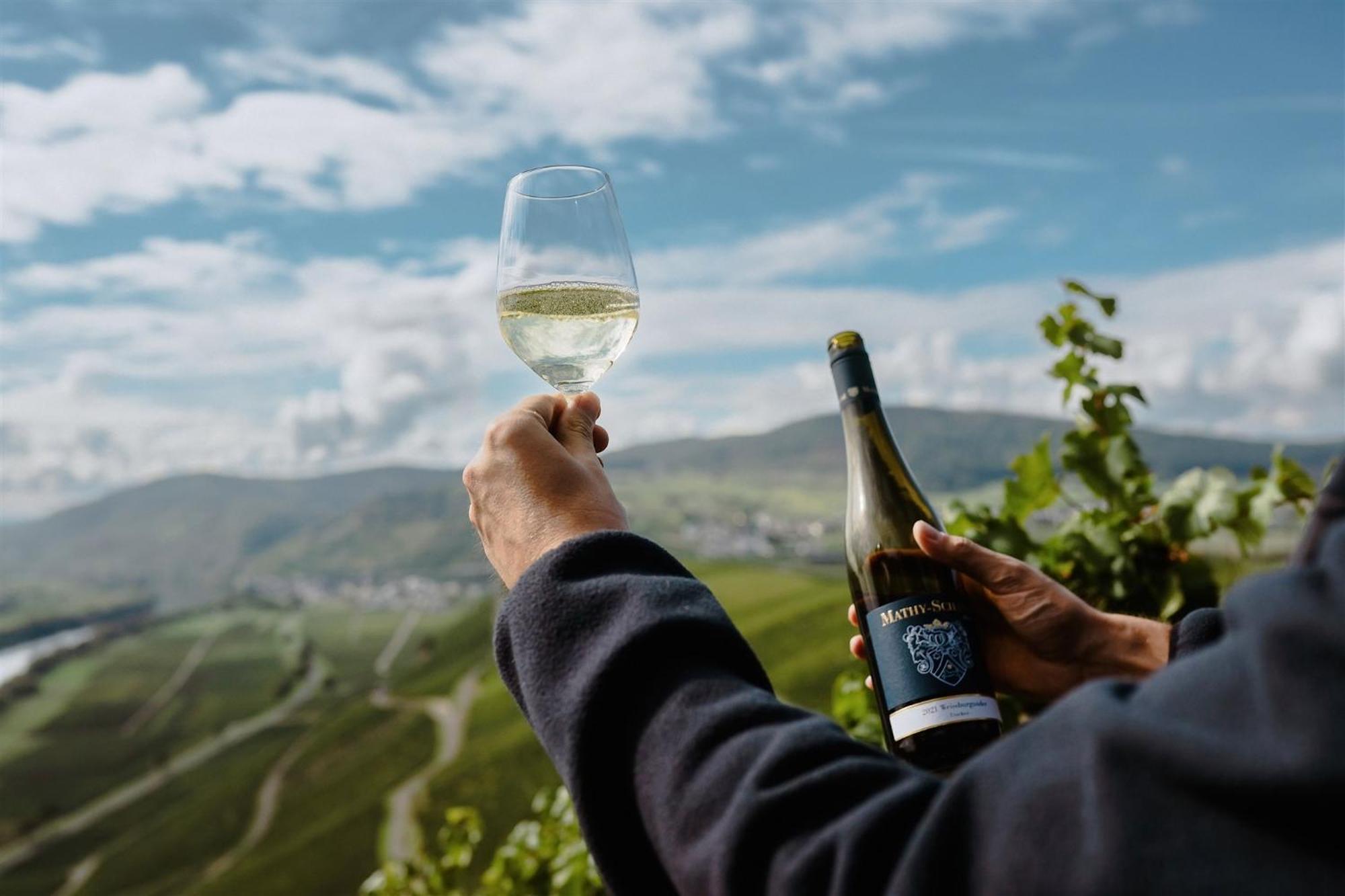 Weingut Mathy-Schanz Osann-Monzel Εξωτερικό φωτογραφία
