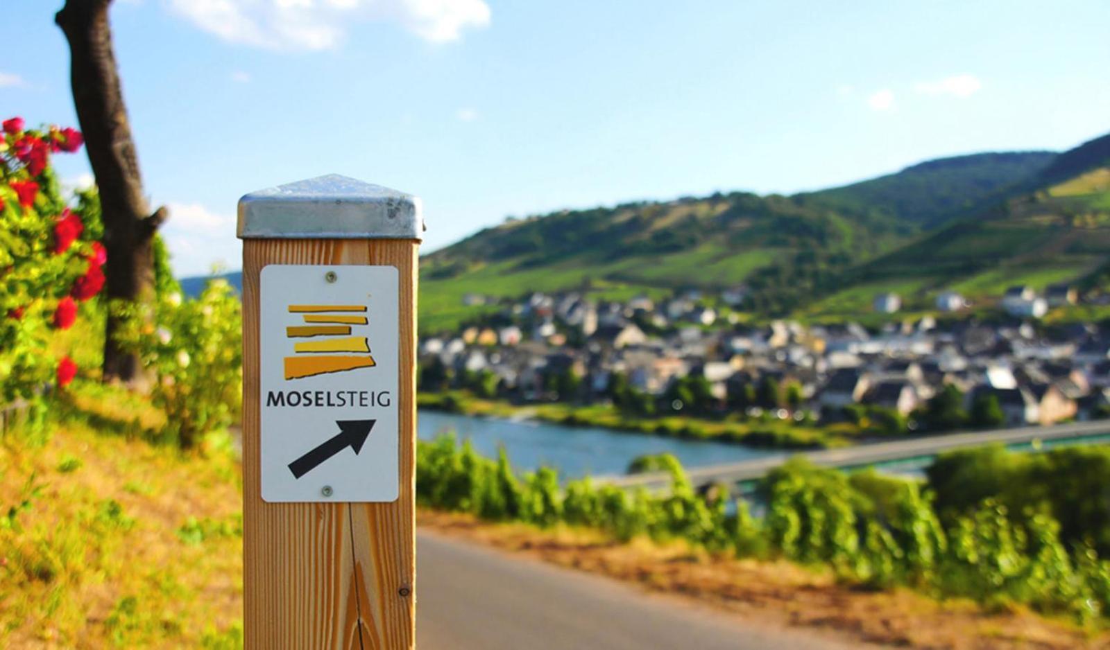Weingut Mathy-Schanz Osann-Monzel Εξωτερικό φωτογραφία