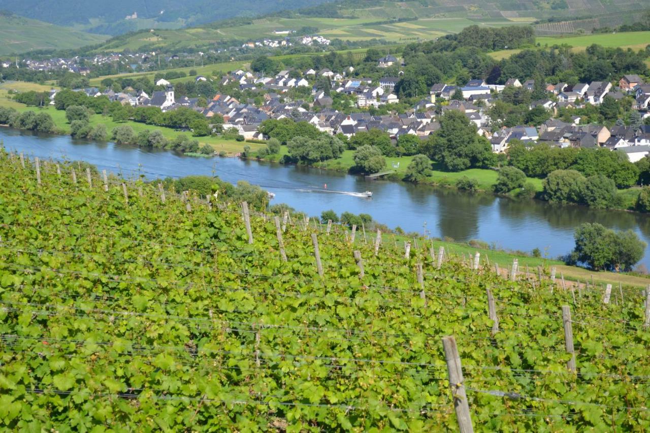 Weingut Mathy-Schanz Osann-Monzel Εξωτερικό φωτογραφία
